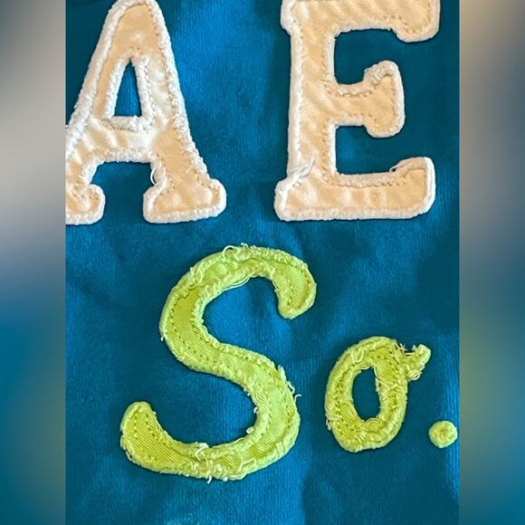 Aeropostale University So. Cal Blue Zip Front Hoodie Sweat Jacket size Medium - Picture 4 of 11